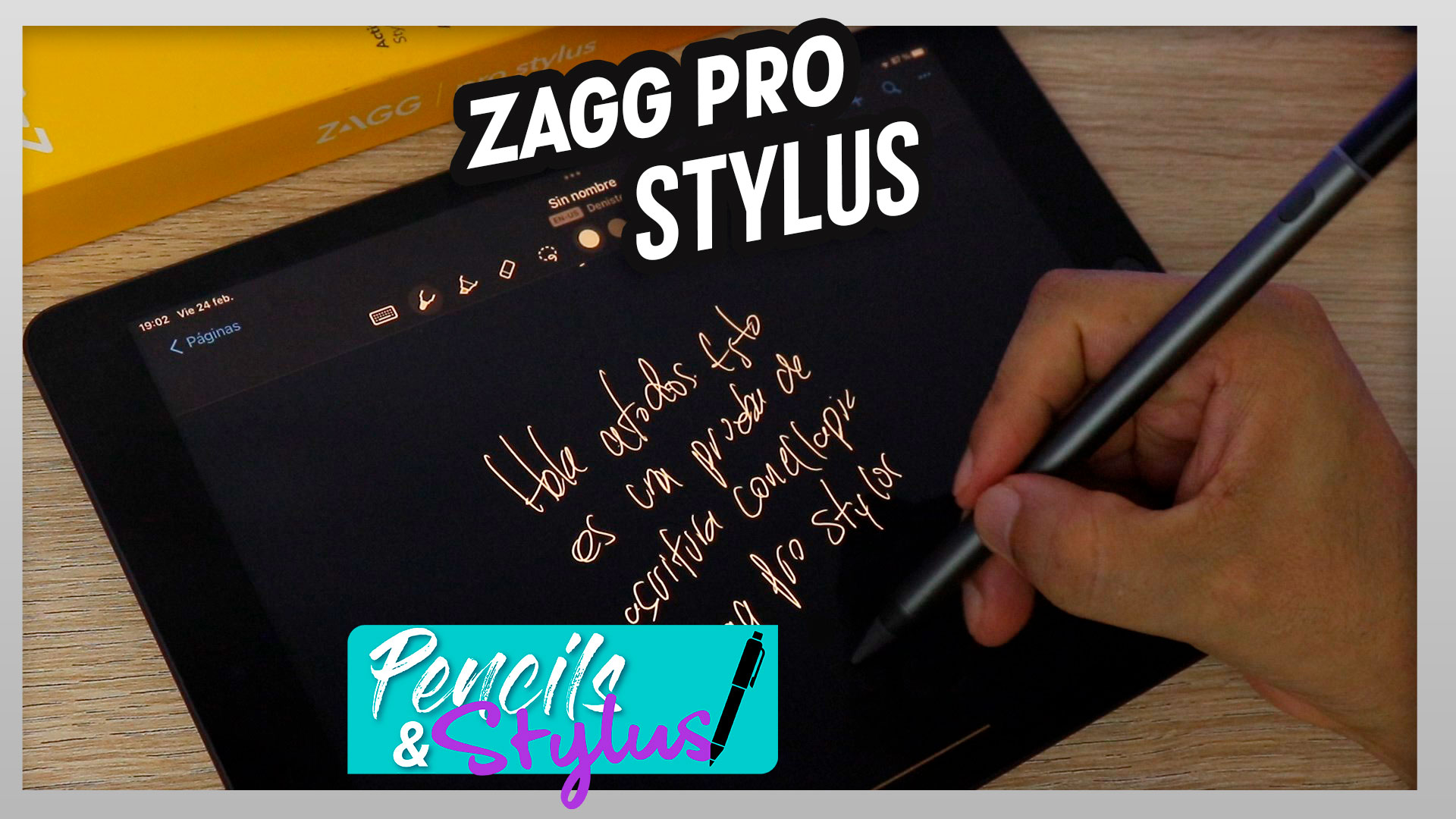 Zagg Pro Stylus Best compatible stylus for iPad, iPad Pro, iPad Mini